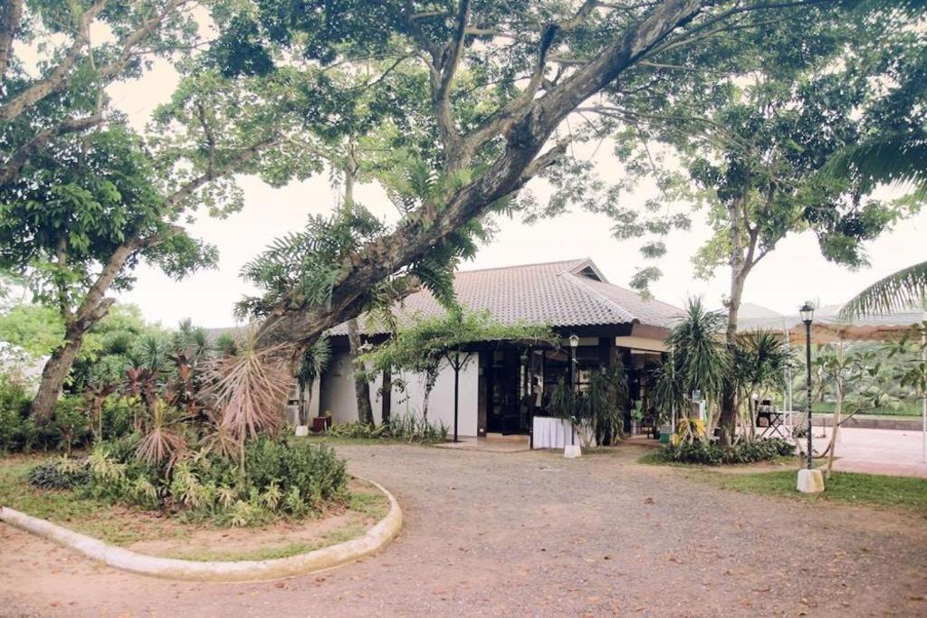 San Antonio Resort Roxas Dış mekan fotoğraf